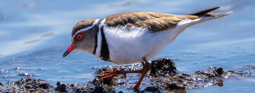 Gaziantep'te tarihi an: Türkiye'nin ilk 